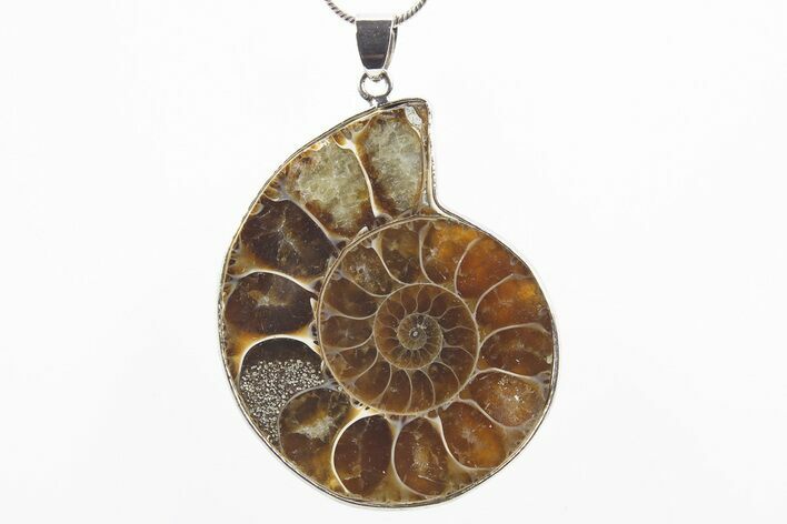 Fossil Ammonite Pendant - Million Years Old #306435